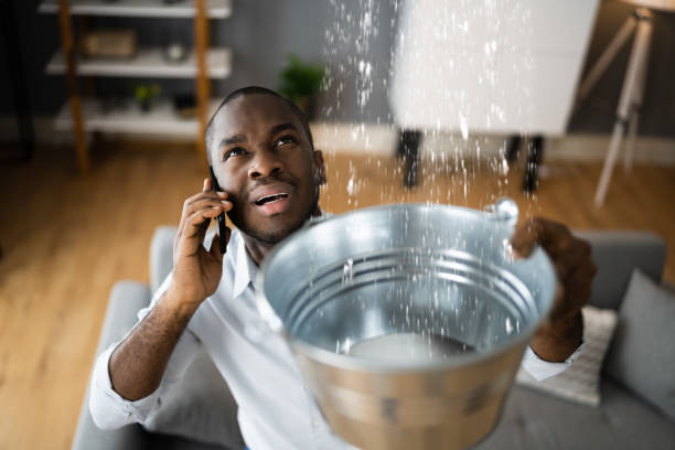 Best Sewage cleanup and water damage restoration  in Tipton, IA