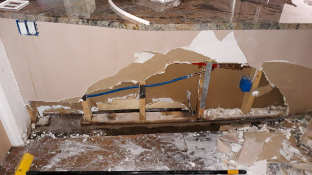 Best Water damage restoration experts  in Tipton, IA