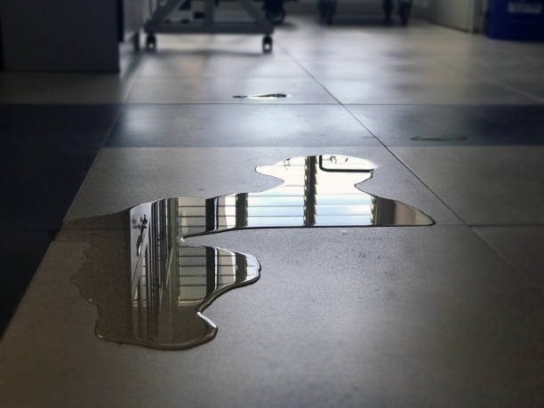 Best Water damage cleanup near me  in Tipton, IA