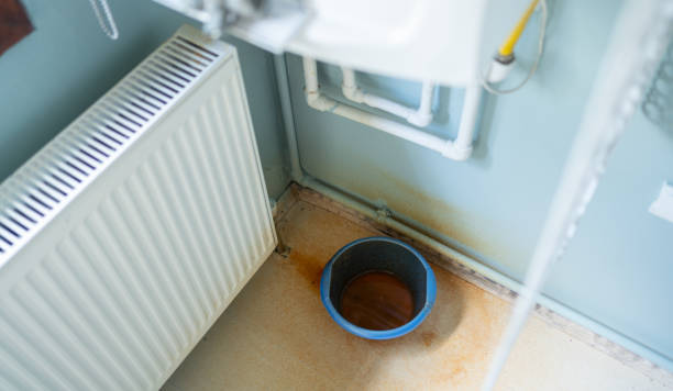 Best Professional water damage repair  in Tipton, IA